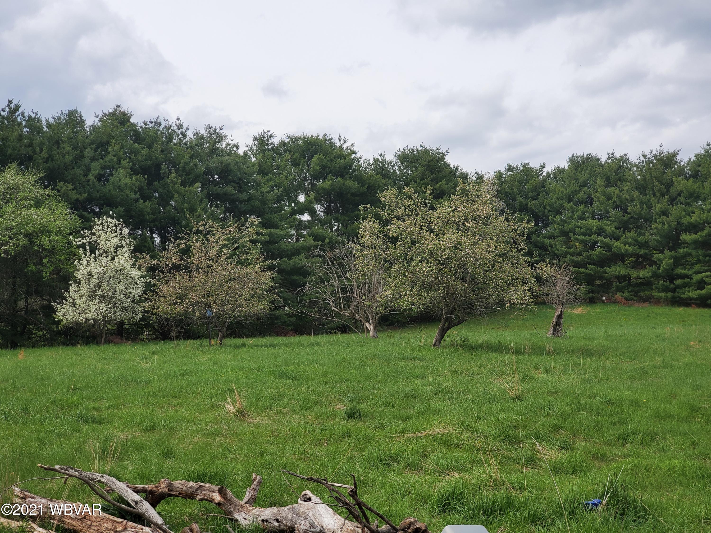 1413 Rock Run Road Cogan Station, PA 17728 - Photo 27 of 56 Gallery Image 27
