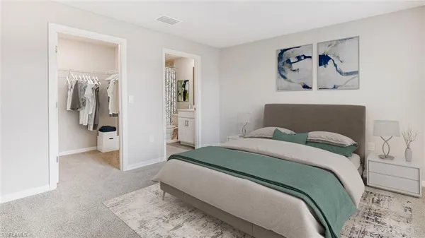 a bedroom with a walk in closet and a rug
