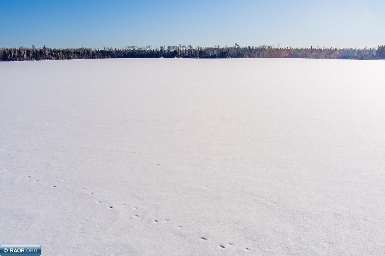 Tbd Hayland Road Embarrass, MN 55732 - Photo 4 of 18