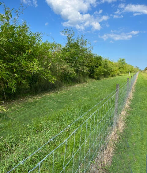 1375 South Header Canal Road Fort Pierce, FL 34945 - Photo 4 of 12 image002