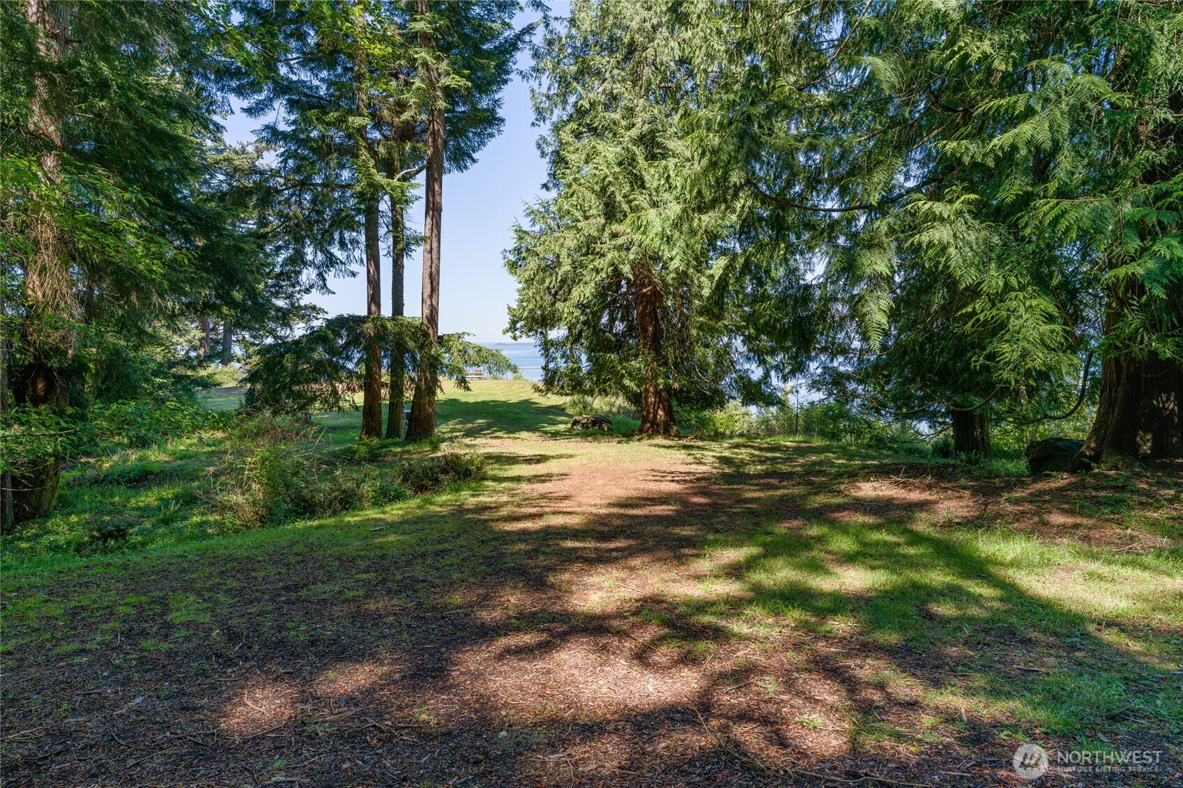 463 Wright Road Orcas Island, WA 98245 - Photo 9 of 40 a view of a trees with a yard