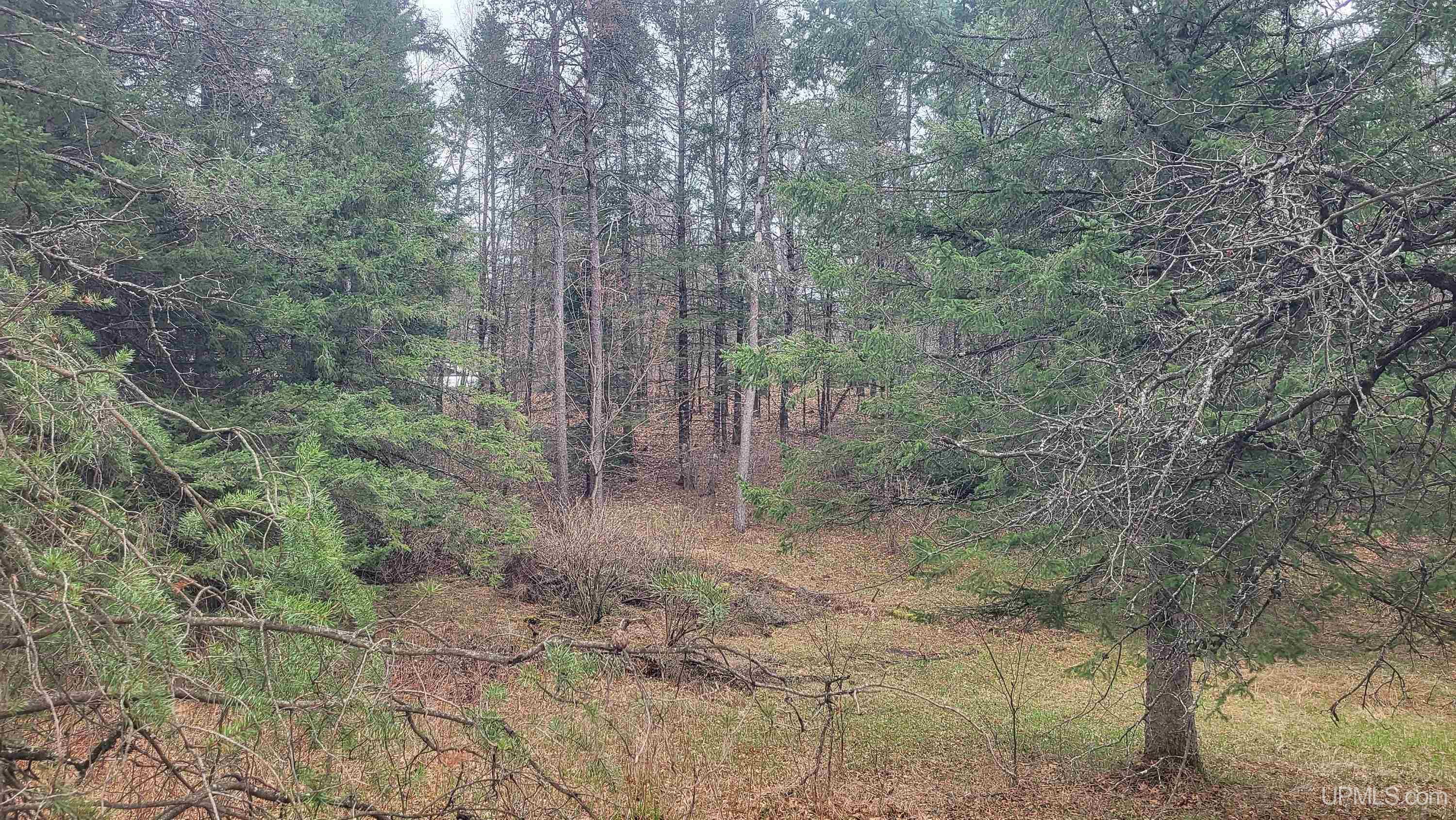 9332 Deer Lake Road Crivitz, WI 54114 - Photo 39 of 44