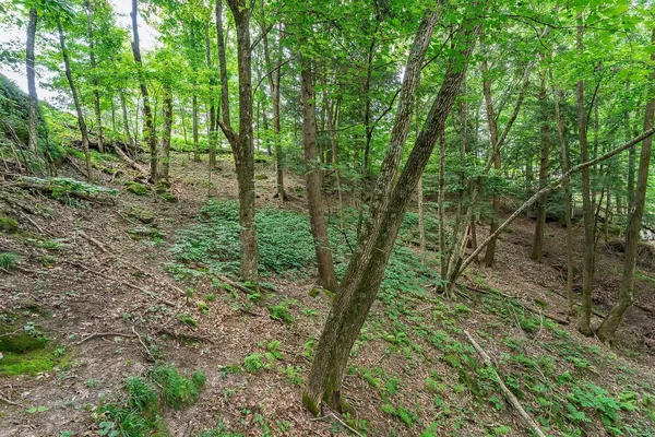 $799,500 | E4368 West Redstone Drive, La Valle, WI 53941