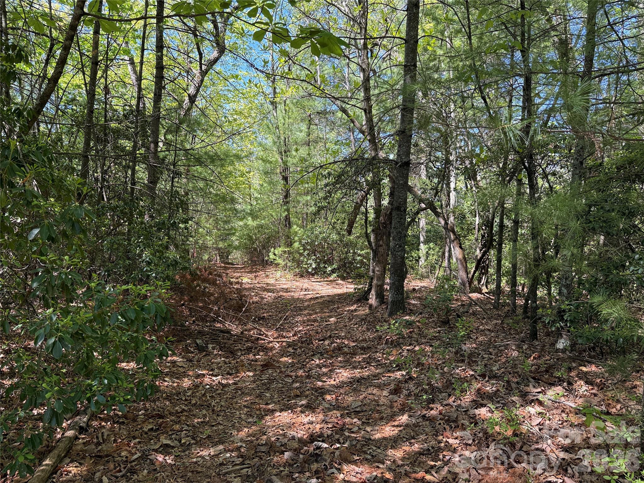 Tbd Staghorn Road, Unit 160 & 161 Purlear, NC 28665 - Photo 16 of 46 a big yard with lots of green space and house view