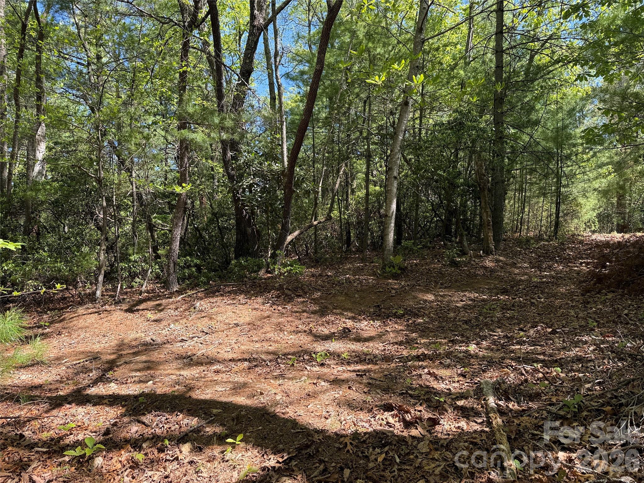 Tbd Staghorn Road, Unit 160 & 161 Purlear, NC 28665 - Photo 17 of 46 a backyard of a house with lots of green space