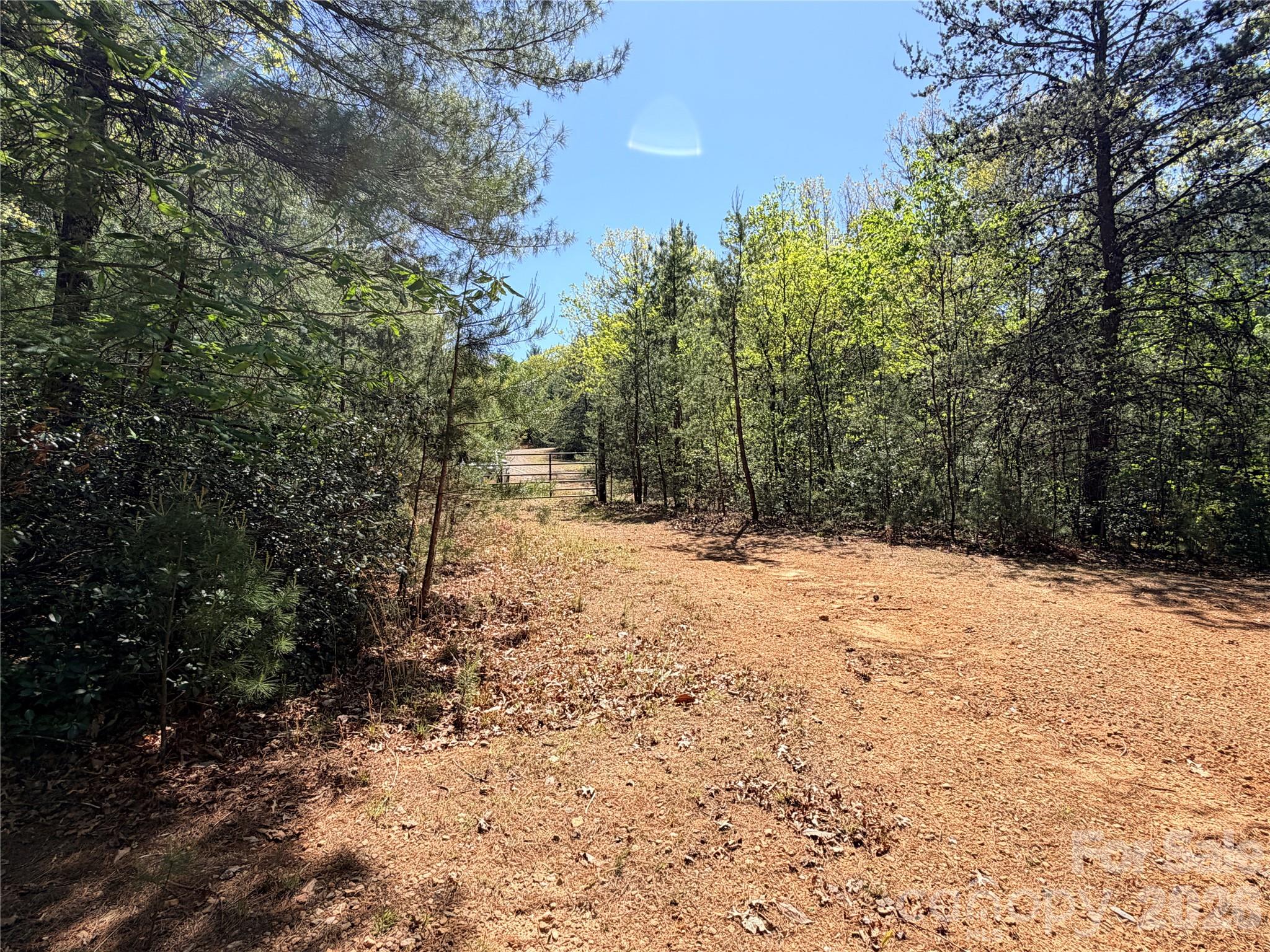 Tbd Staghorn Road, Unit 160 & 161 Purlear, NC 28665 - Photo 2 of 46 a view of a covered with snow in the yard