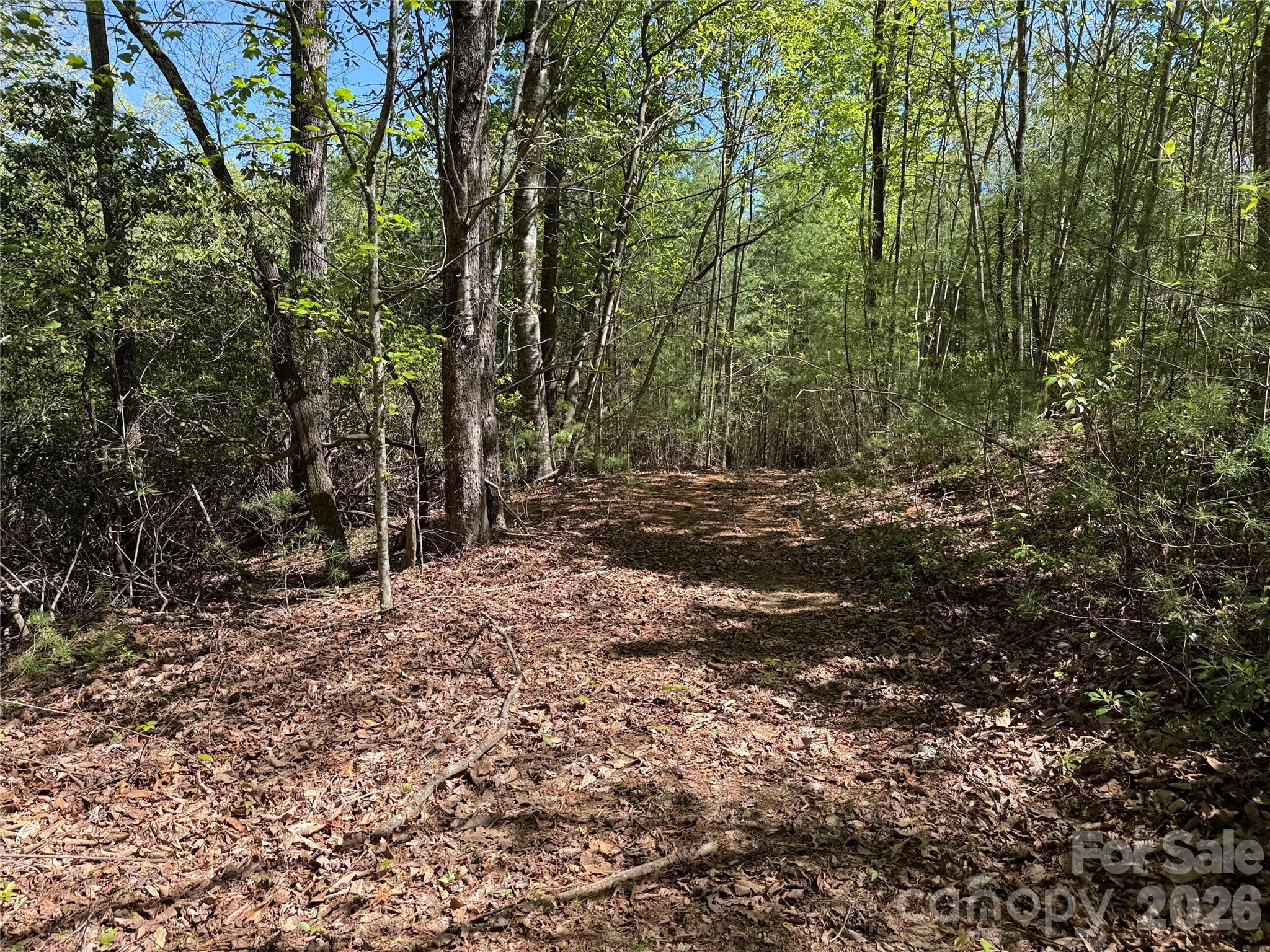 Tbd Staghorn Road, Unit 160 & 161 Purlear, NC 28665 - Photo 21 of 46 a view of a forest with trees