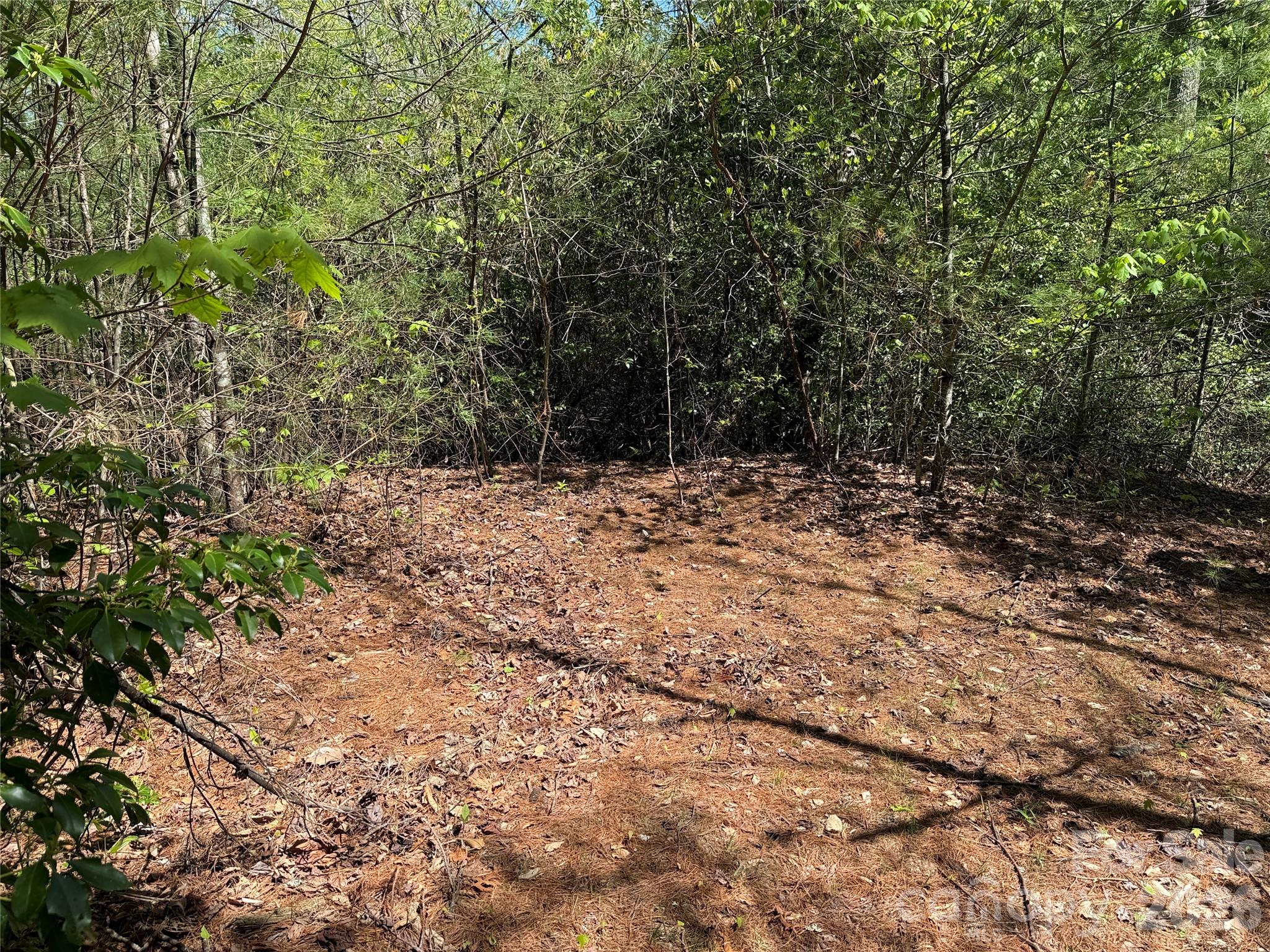Tbd Staghorn Road, Unit 160 & 161 Purlear, NC 28665 - Photo 22 of 46