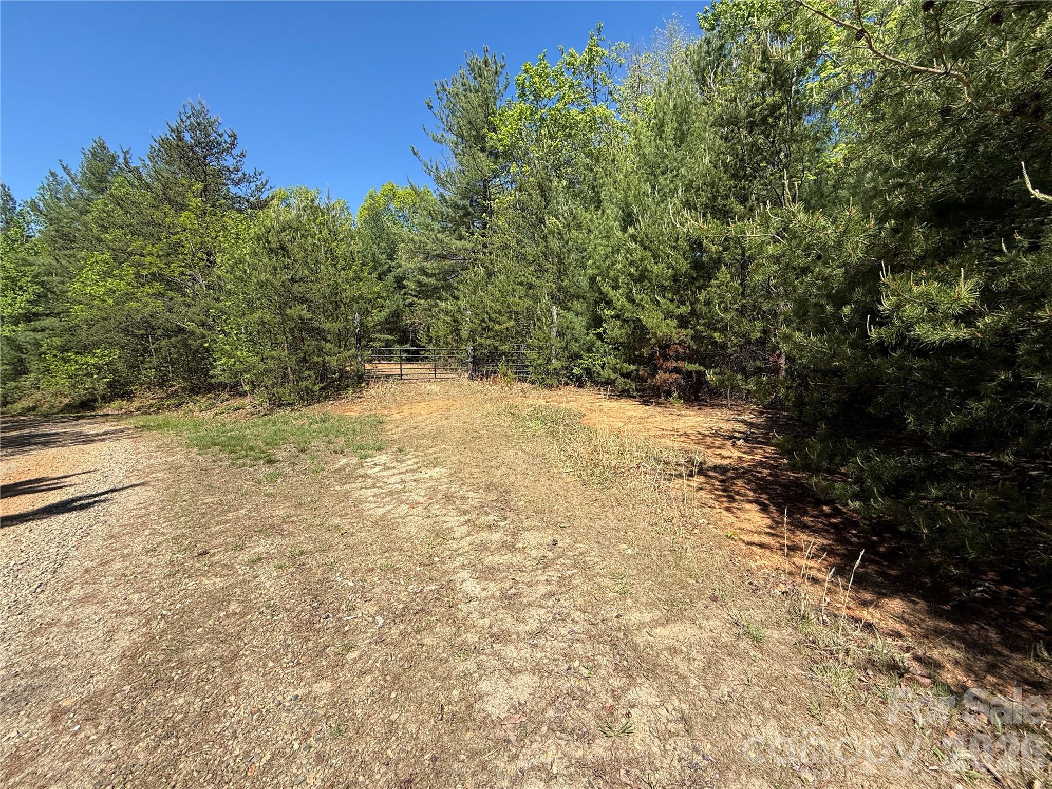Tbd Staghorn Road, Unit 160 & 161 Purlear, NC 28665 - Photo 23 of 46 a view of a yard with a tree