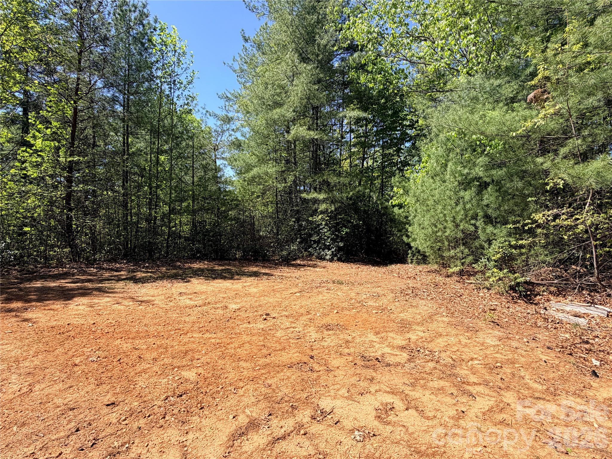 Tbd Staghorn Road, Unit 160 & 161 Purlear, NC 28665 - Photo 5 of 46 a view of empty yard