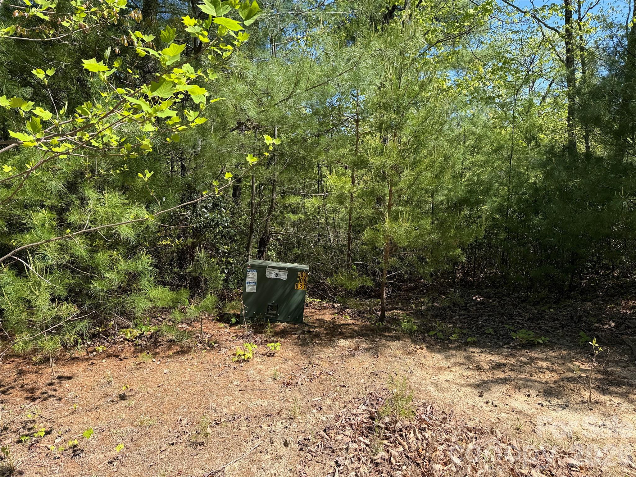 Tbd Staghorn Road, Unit 160 & 161 Purlear, NC 28665 - Photo 6 of 46 a view of a outdoor space with a tree