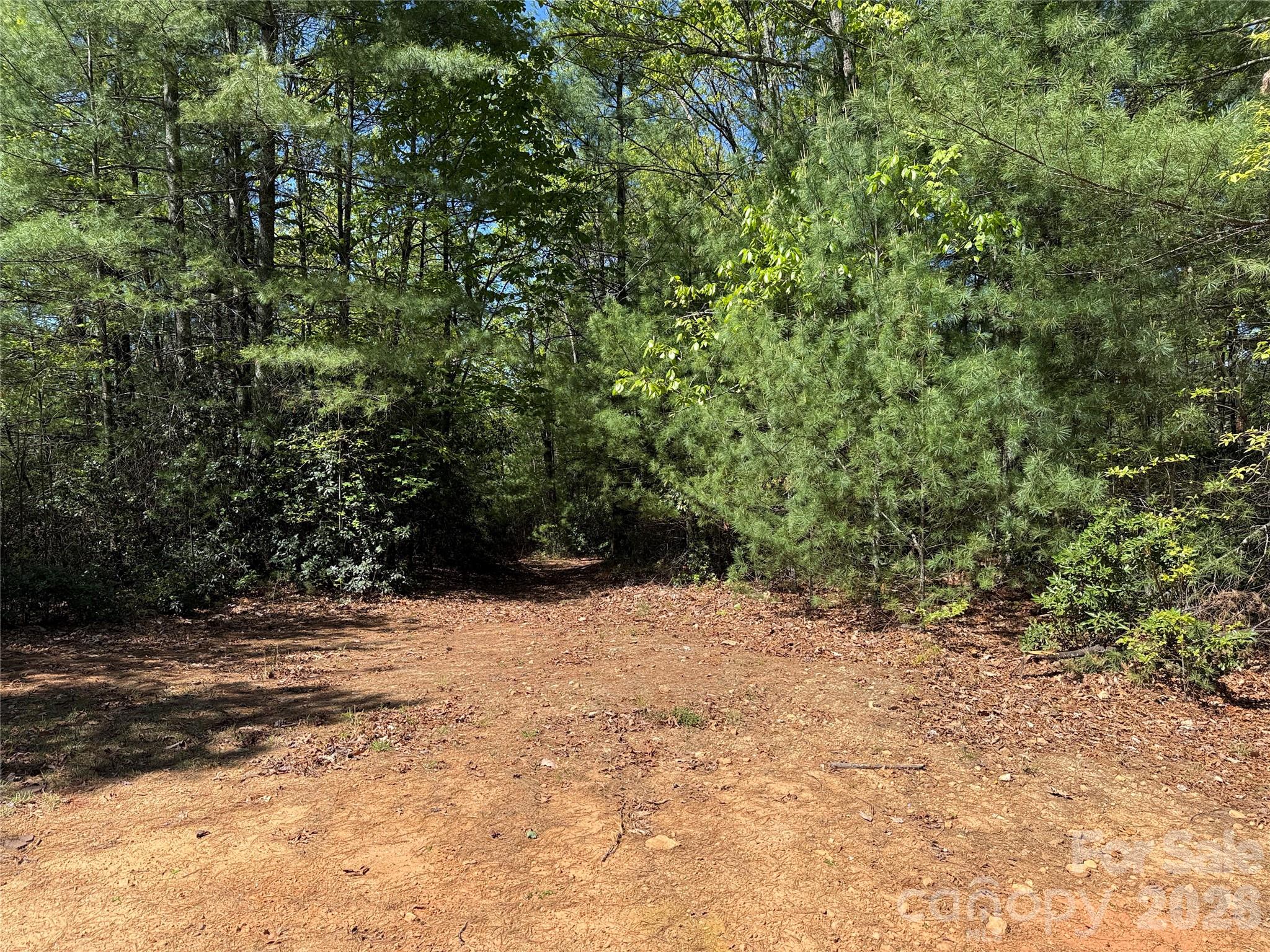 Tbd Staghorn Road, Unit 160 & 161 Purlear, NC 28665 - Photo 7 of 46 a view of side of a yard