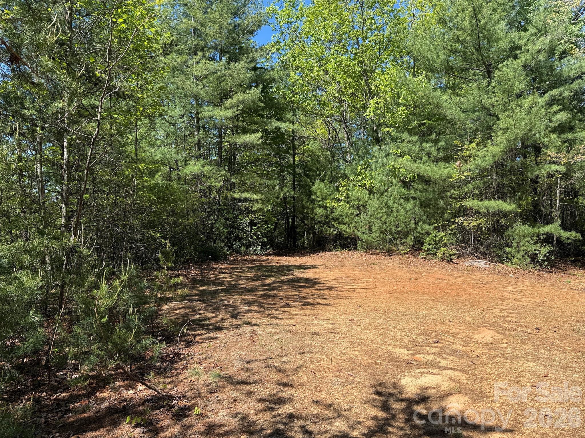Tbd Staghorn Road, Unit 160 & 161 Purlear, NC 28665 - Photo 8 of 46 a view of a yard with a tree