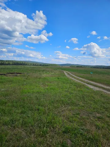 $180,000 | 52-xx Wagner Road, Springdale, WA 99173