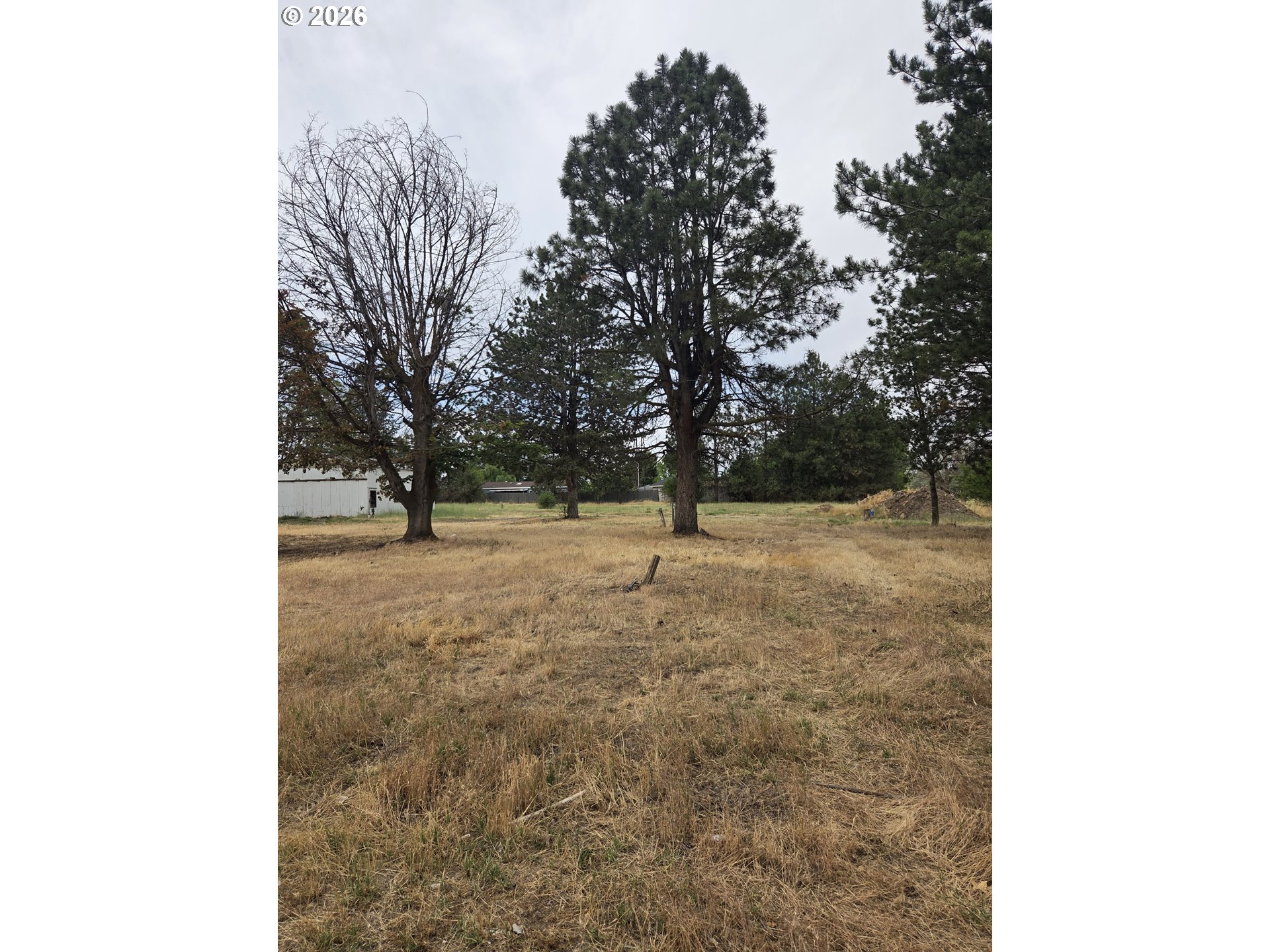 78936 Shoemake Road Boardman, OR 97818 - Photo 6 of 7