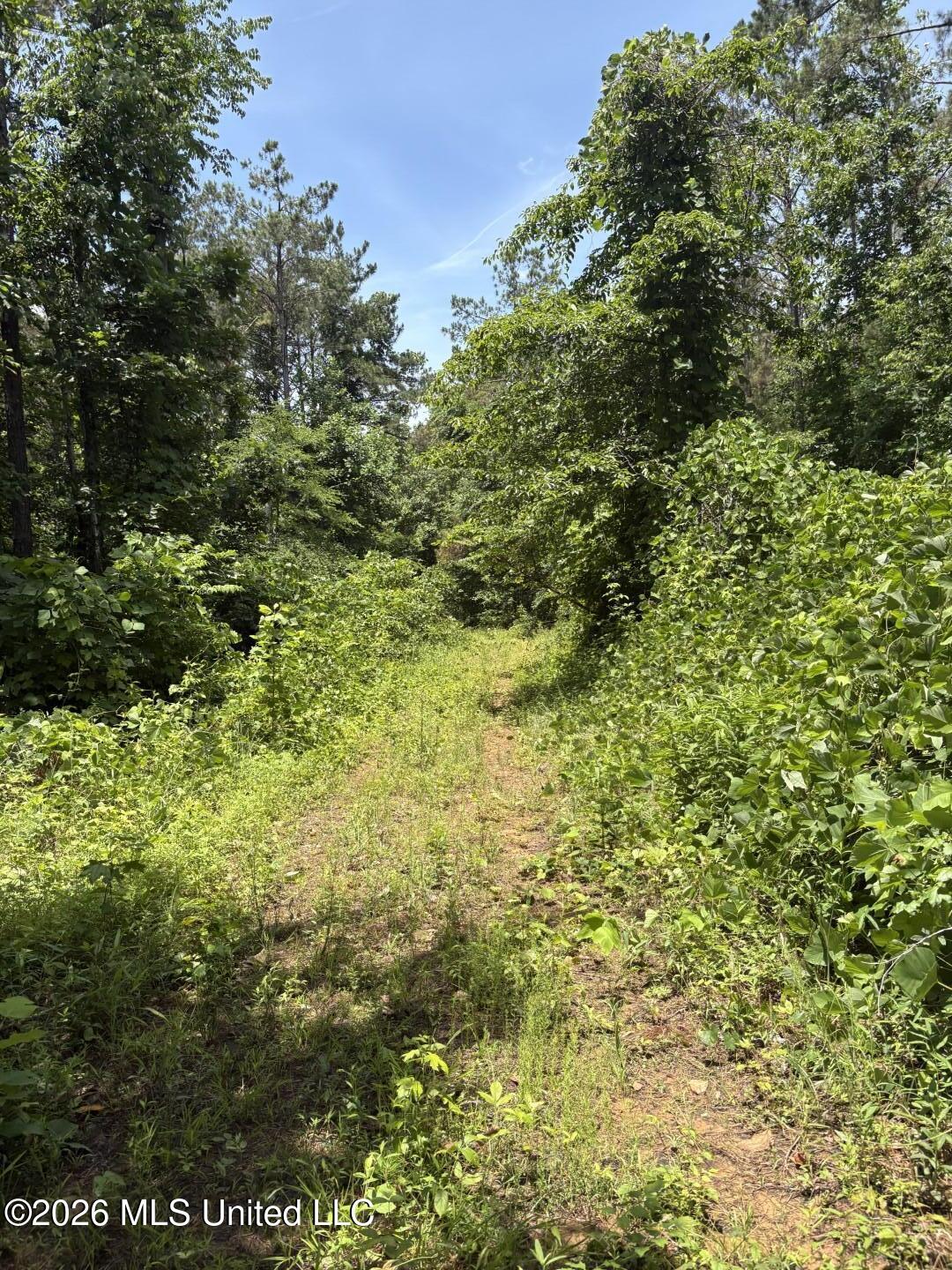 180 County Road New Albany, MS 38652 - Photo 25 of 61 Photo Jun 02 2026, 12 41 29 PM (Large)
