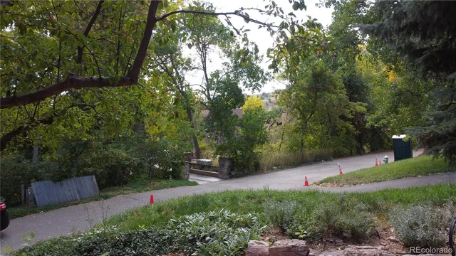 a view of a bench in a forest