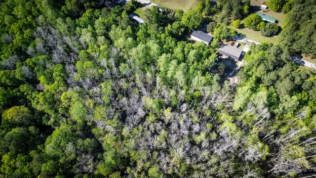 $40,000 | 351 Dingle Lane, St. Stephen, SC 29479