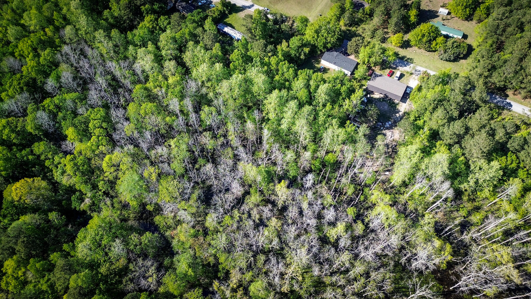 351 Dingle Lane St. Stephen, SC 29479 - Photo 11 of 13 mp-10