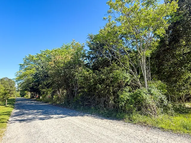 $40,000 | 351 Dingle Lane, St. Stephen, SC 29479