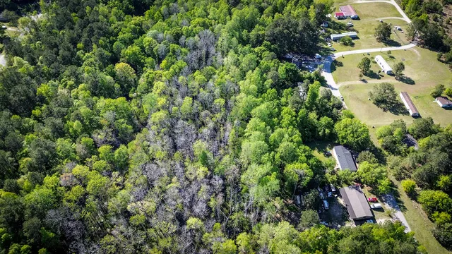 $40,000 | 351 Dingle Lane, St. Stephen, SC 29479