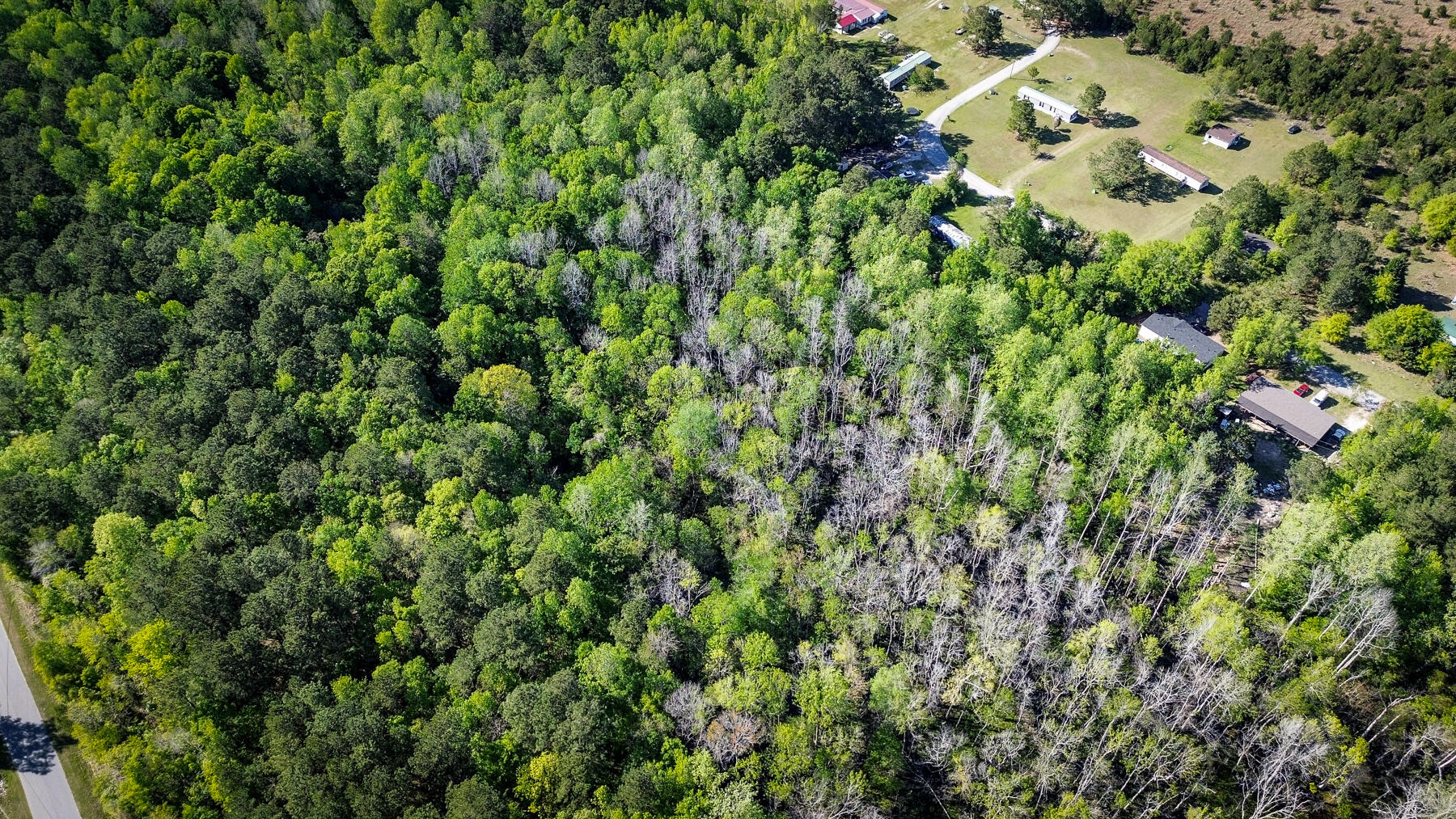 351 Dingle Lane St. Stephen, SC 29479 - Photo 3 of 13 mp-9