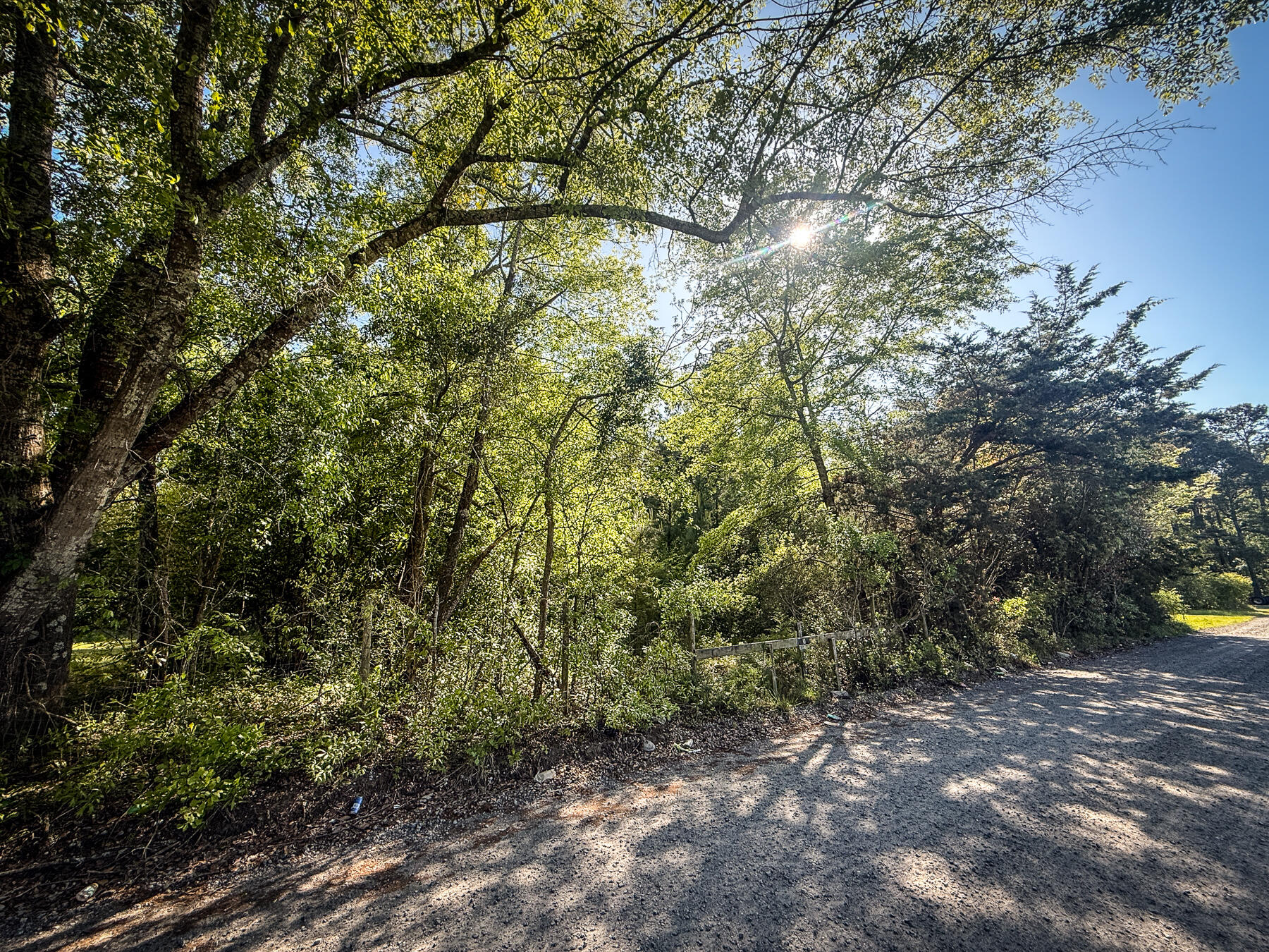 351 Dingle Lane St. Stephen, SC 29479 - Photo 9 of 13 mp-14