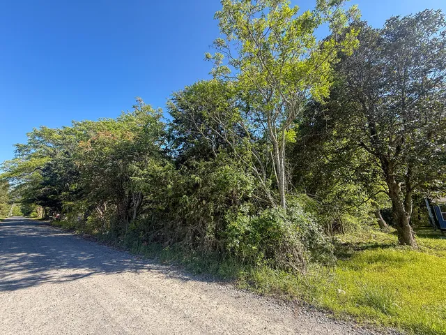 $40,000 | 351 Dingle Lane, St. Stephen, SC 29479