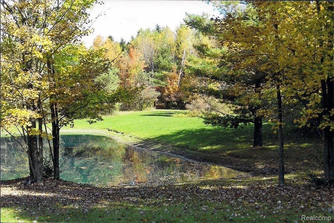 5465 Phillips Road Clifford, MI 48727 - Photo 1 of 6 5465 Phillips VL 1