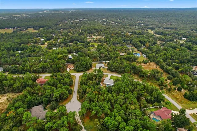 an aerial view of residential houses with outdoor space and trees