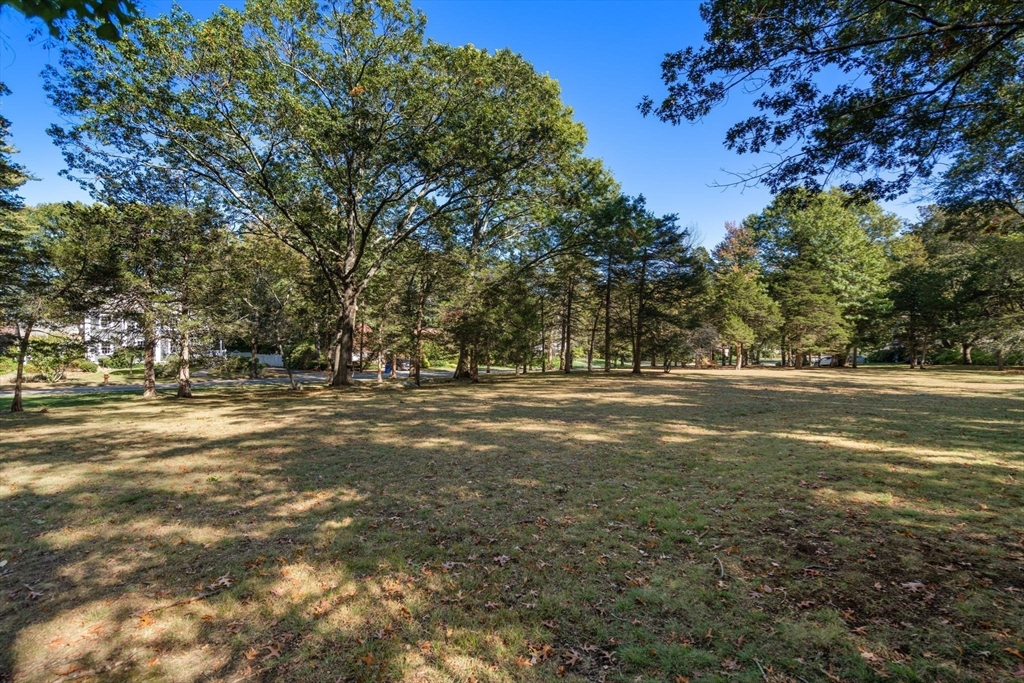 58 Country Club Road Newton, MA 02459 - Photo 2 of 27 a view of road with large trees