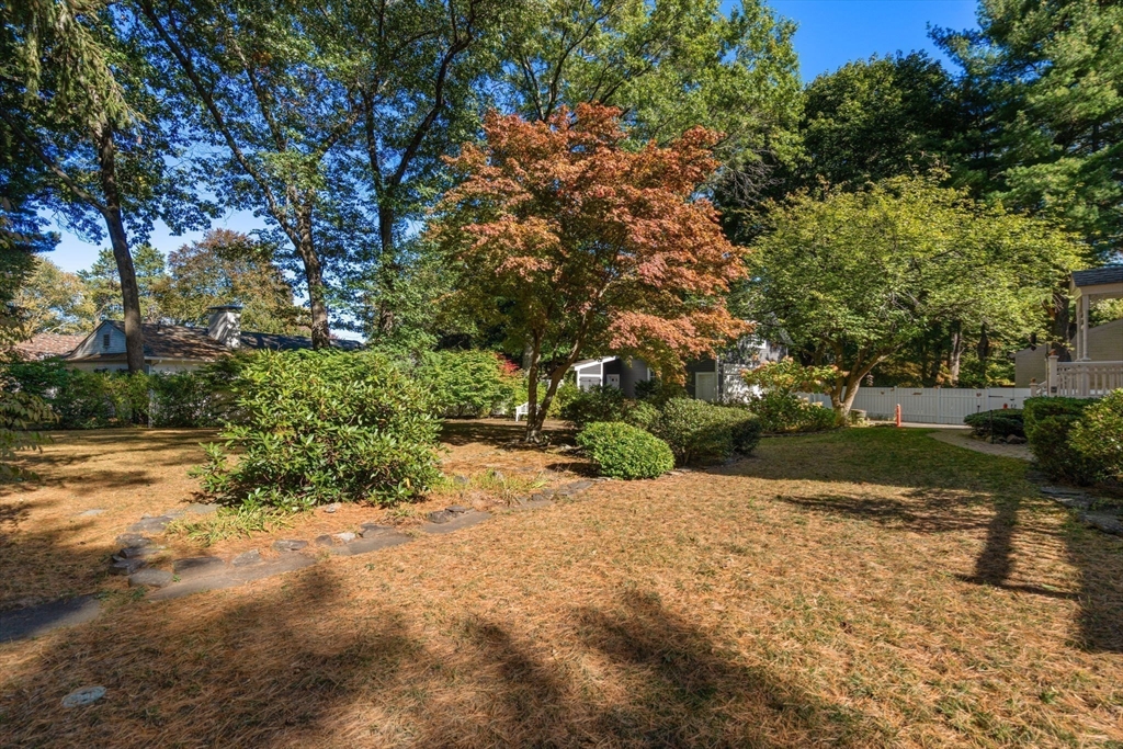 58 Country Club Road Newton, MA 02459 - Photo 24 of 27 a view of a yard with plants and trees