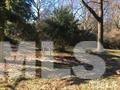 703 Virginia Avenue Raleigh, NC 27604 - Photo 20 of 23