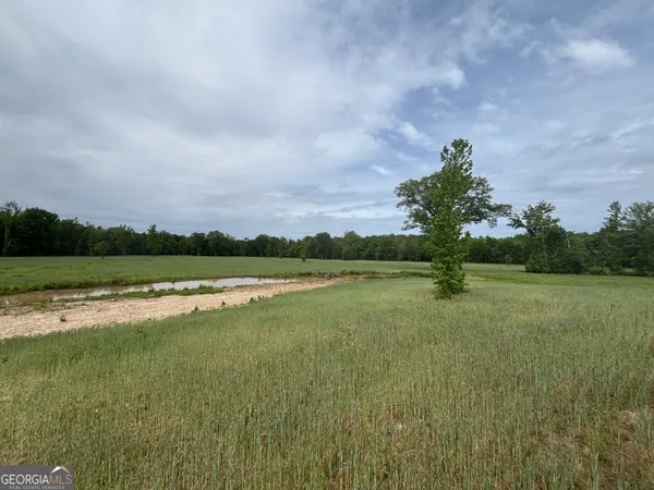 $950,000 | 1120 Julia Jordan Road, Roberta, GA 31078