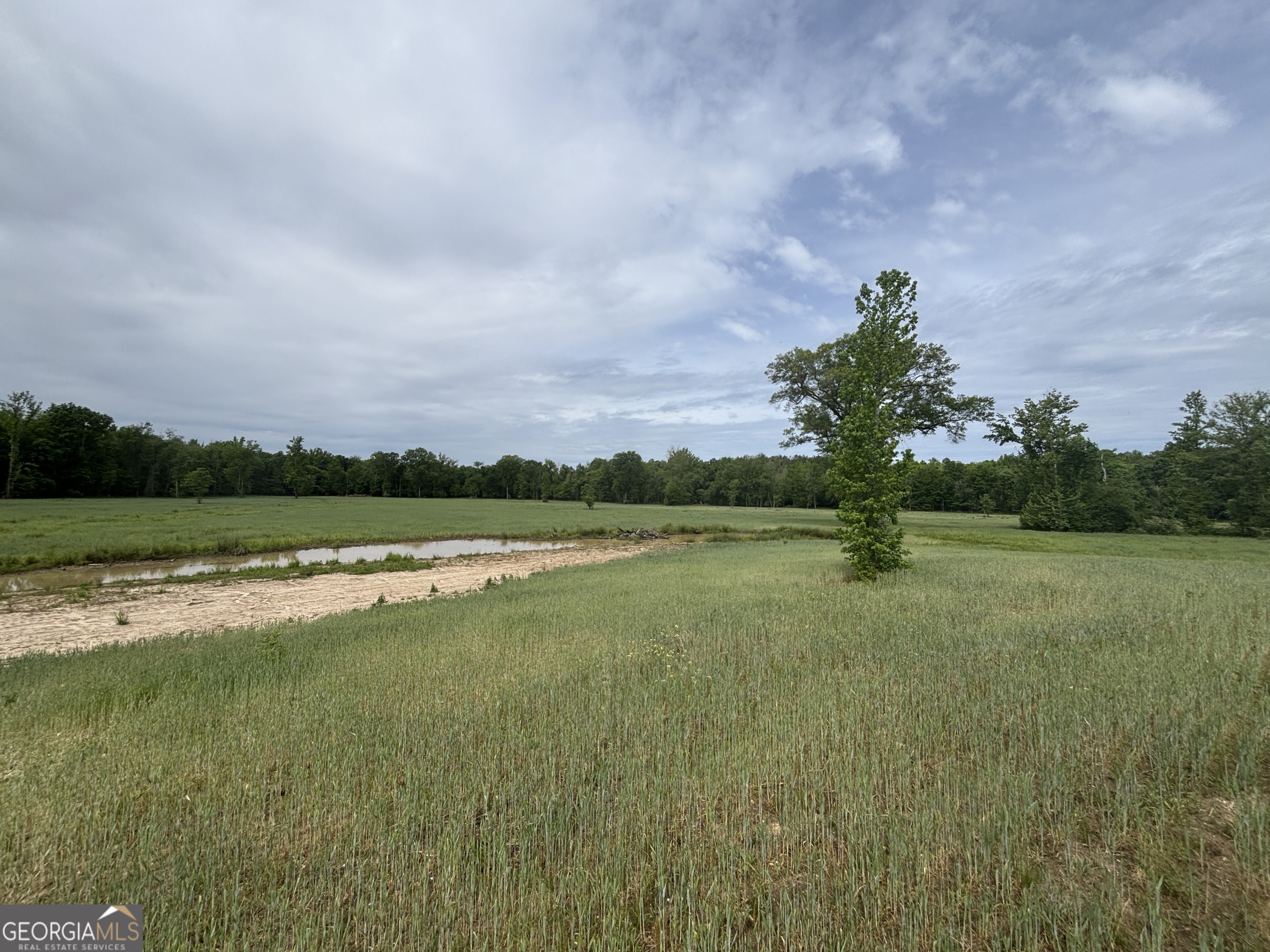 1120 Julia Jordan Road Roberta, GA 31078 - Photo 16 of 24