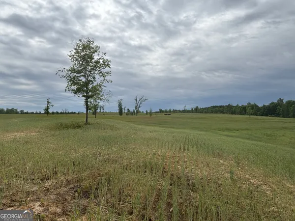 $950,000 | 1120 Julia Jordan Road, Roberta, GA 31078