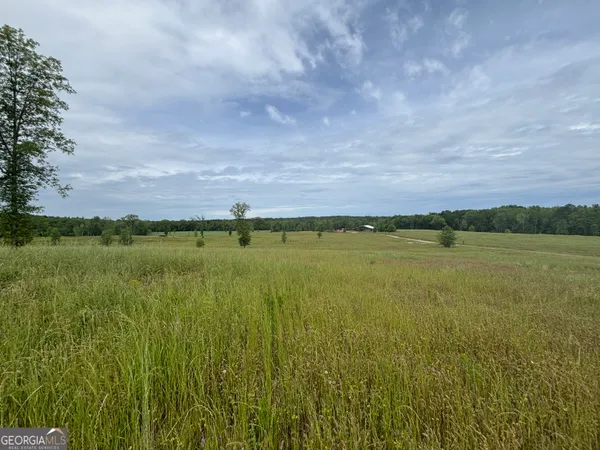 $950,000 | 1120 Julia Jordan Road, Roberta, GA 31078