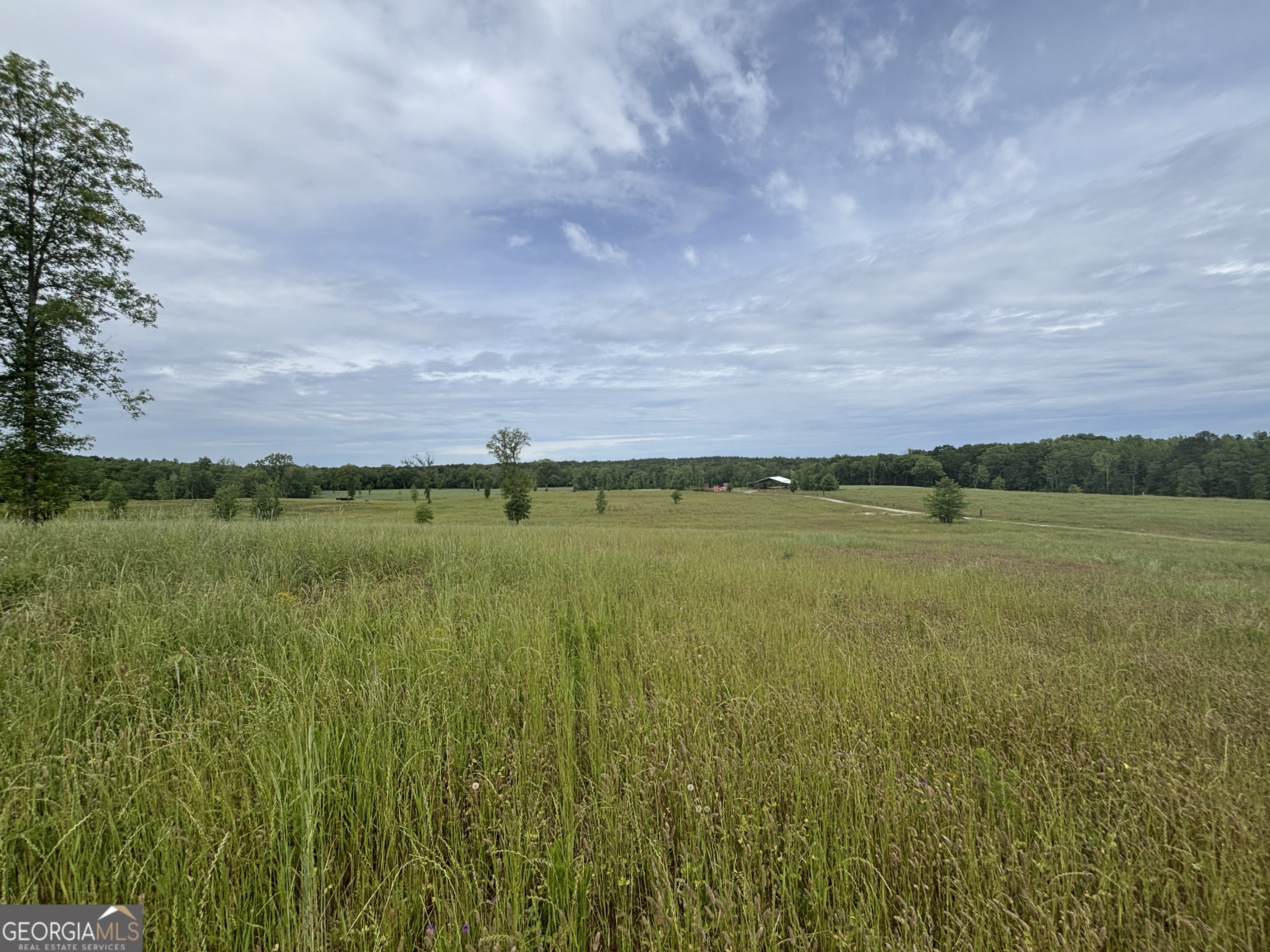 1120 Julia Jordan Road Roberta, GA 31078 - Photo 20 of 24