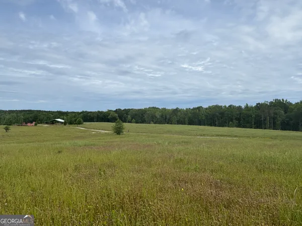$950,000 | 1120 Julia Jordan Road, Roberta, GA 31078