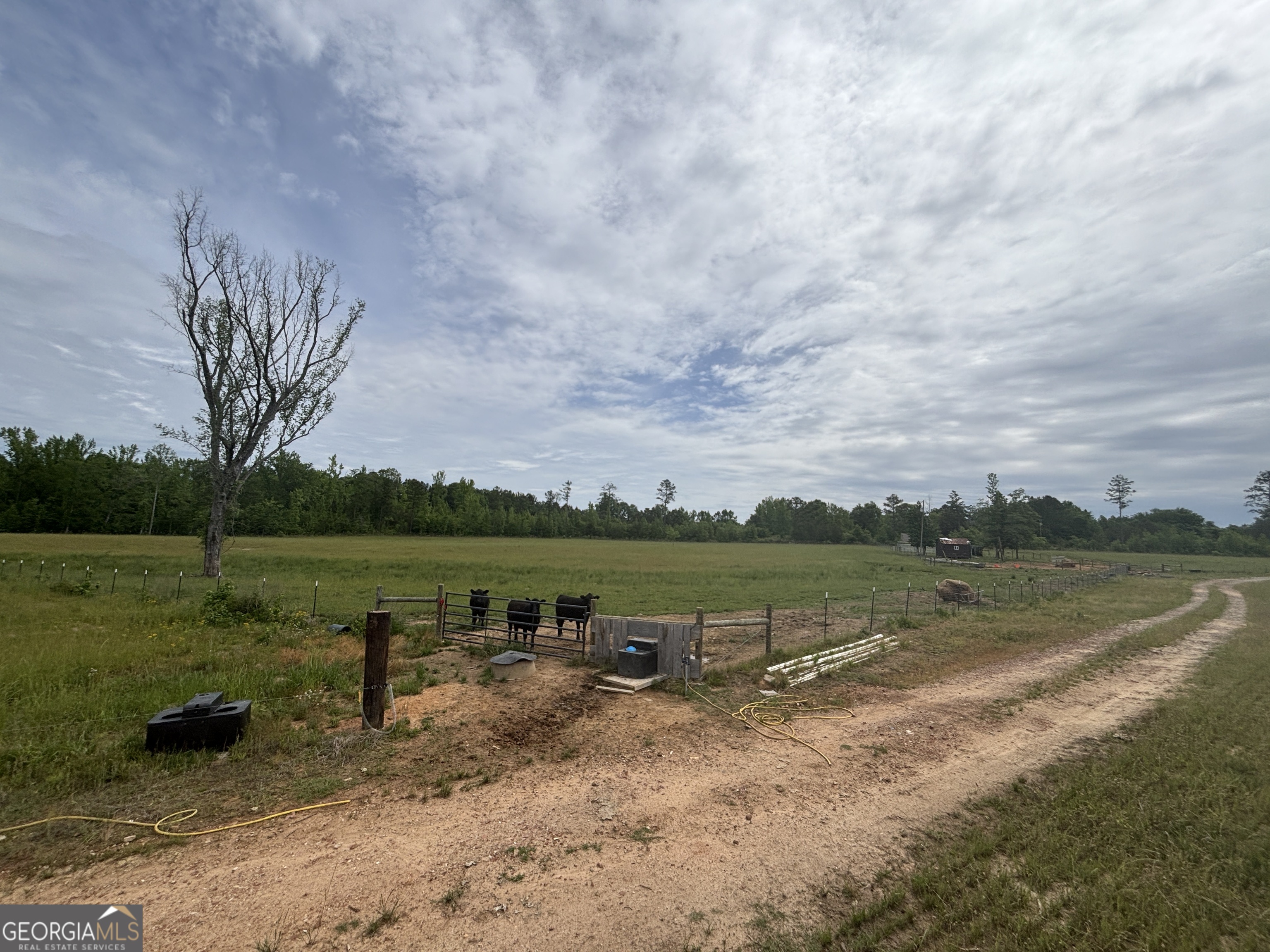 1120 Julia Jordan Road Roberta, GA 31078 - Photo 22 of 24