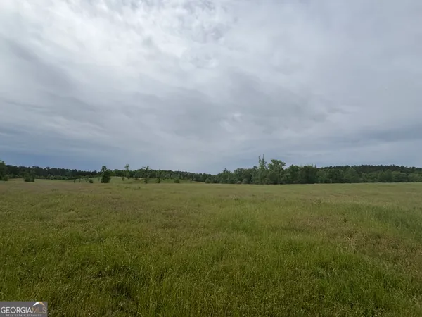 $950,000 | 1120 Julia Jordan Road, Roberta, GA 31078