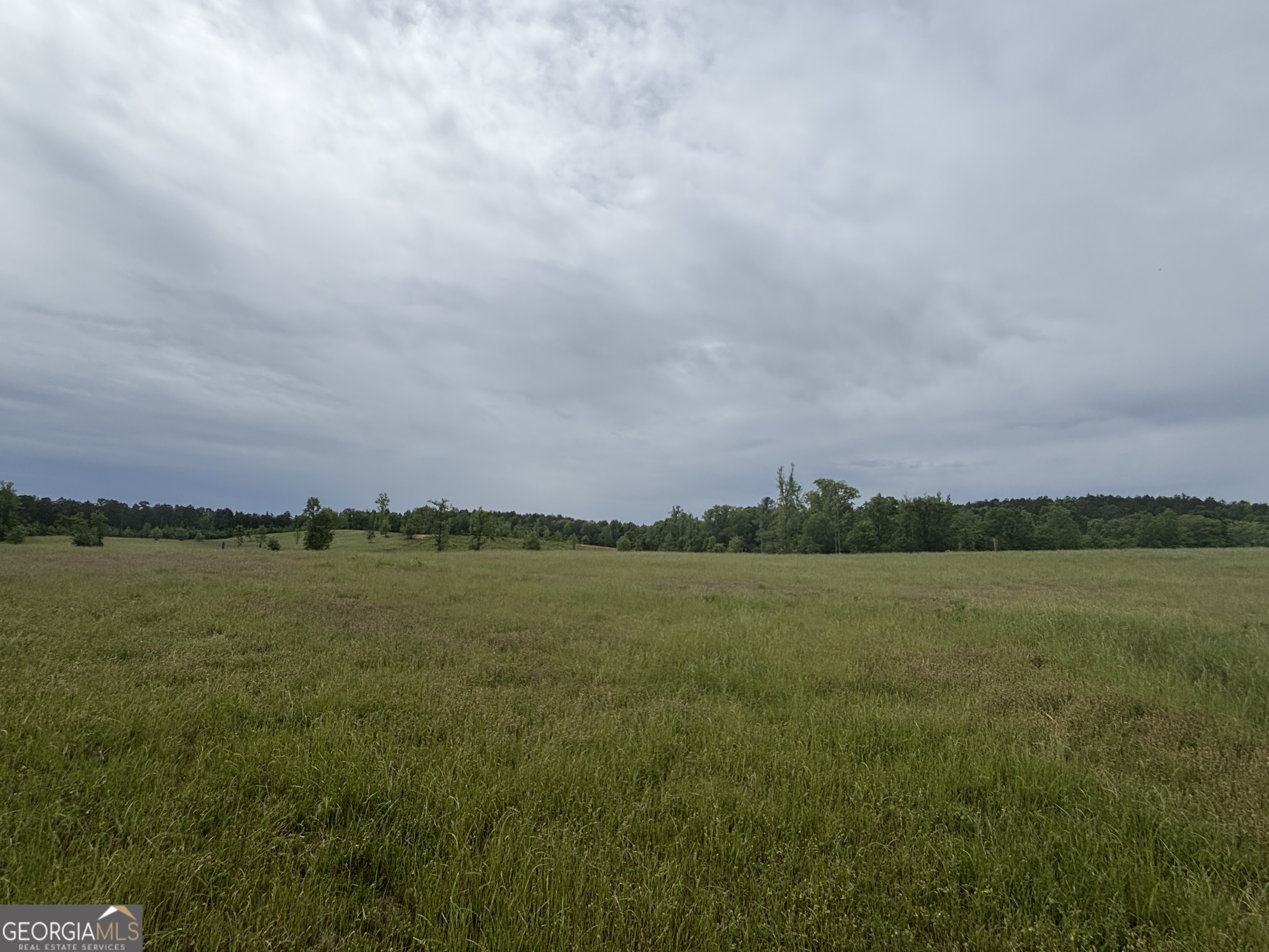 1120 Julia Jordan Road Roberta, GA 31078 - Photo 23 of 24