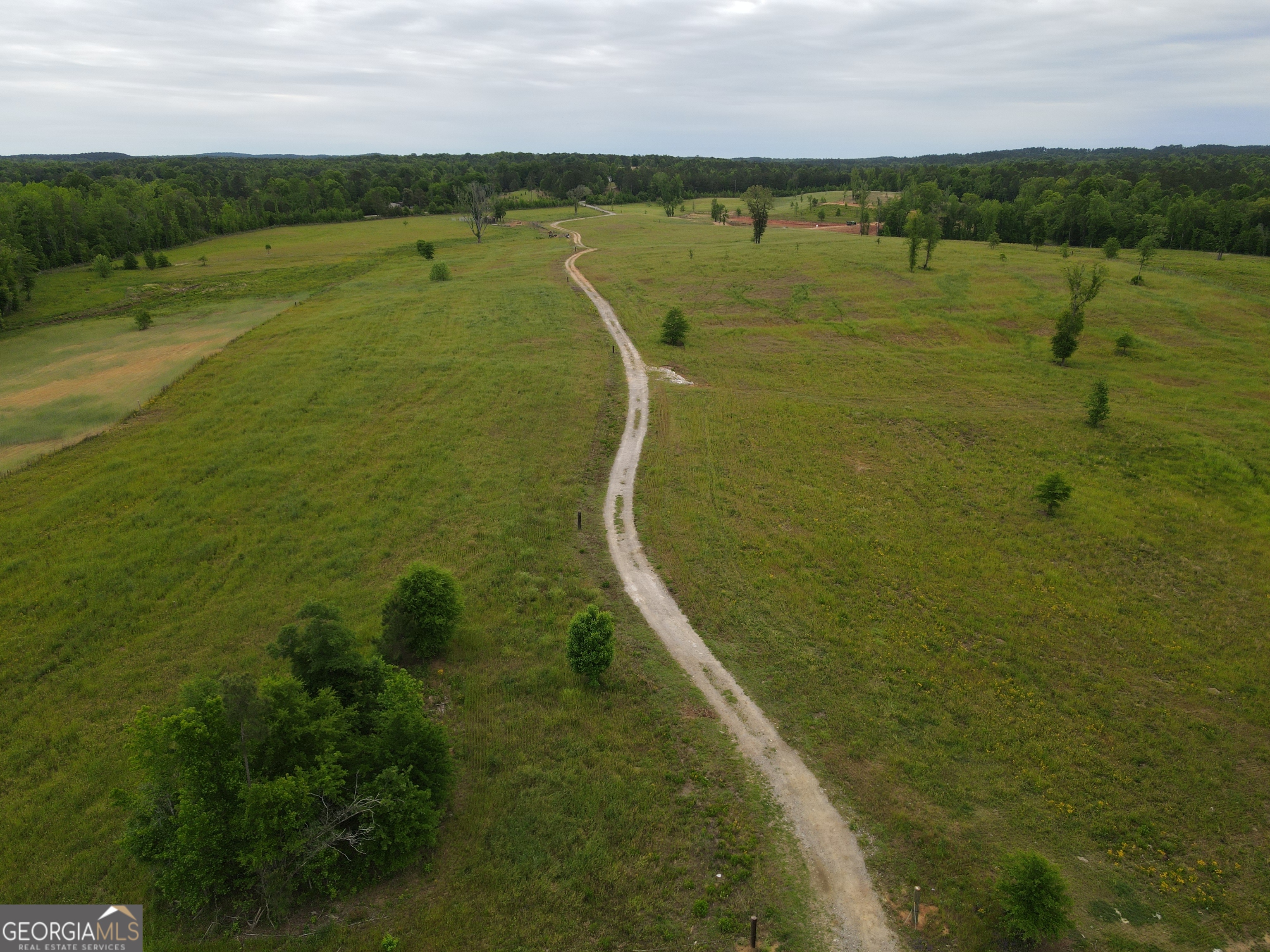 1120 Julia Jordan Road Roberta, GA 31078 - Photo 3 of 24