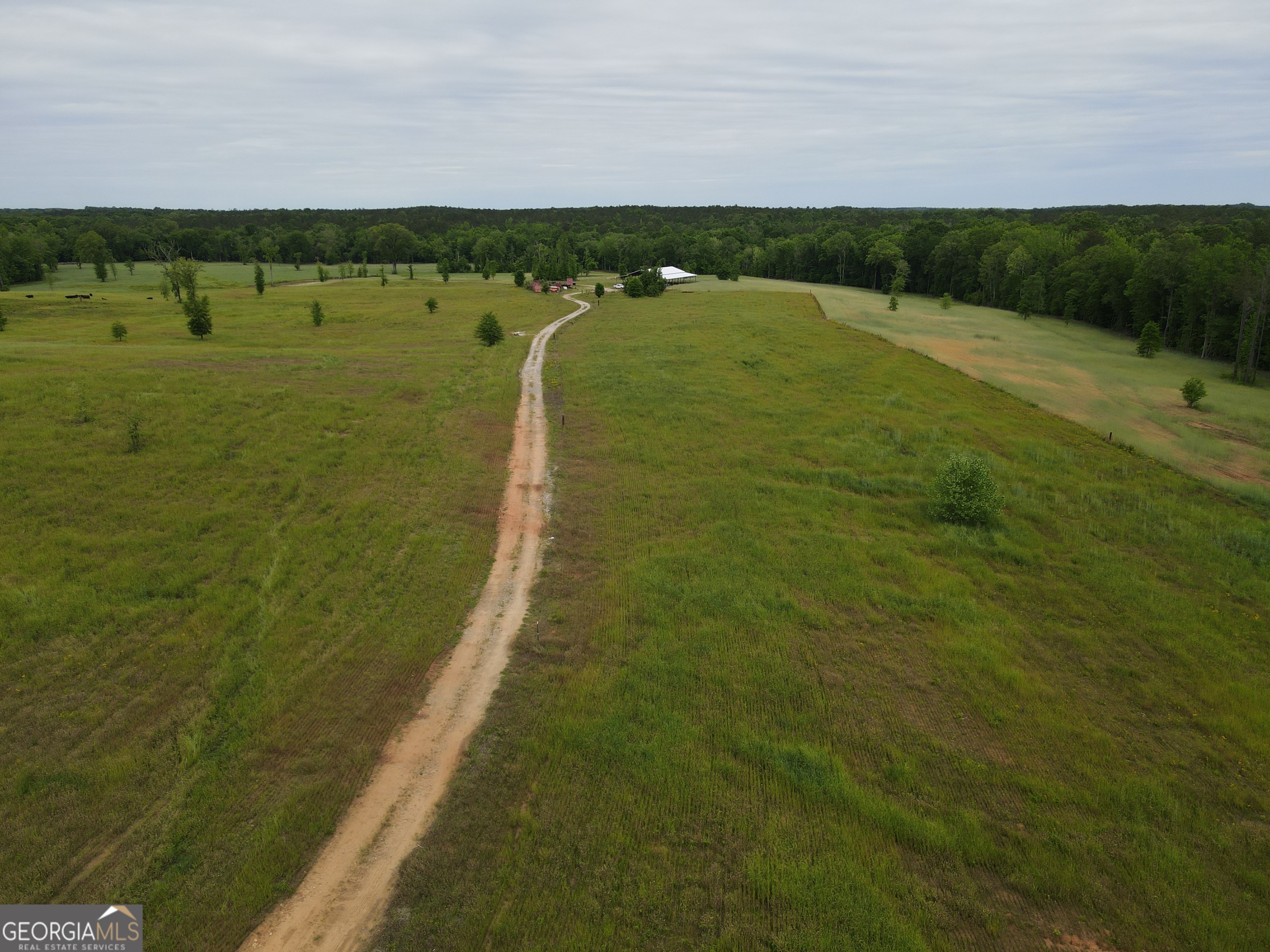 1120 Julia Jordan Road Roberta, GA 31078 - Photo 4 of 24