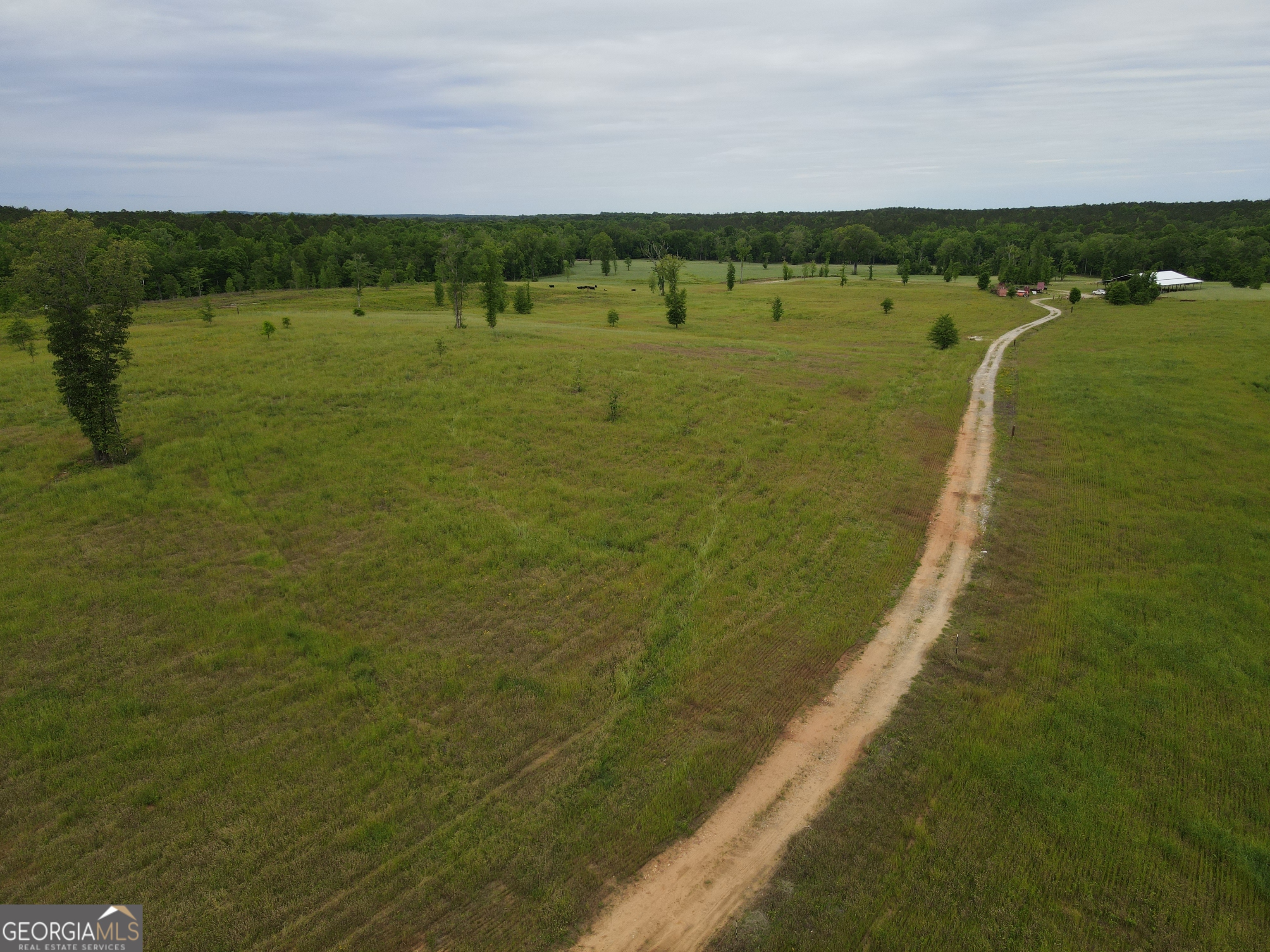 1120 Julia Jordan Road Roberta, GA 31078 - Photo 5 of 24