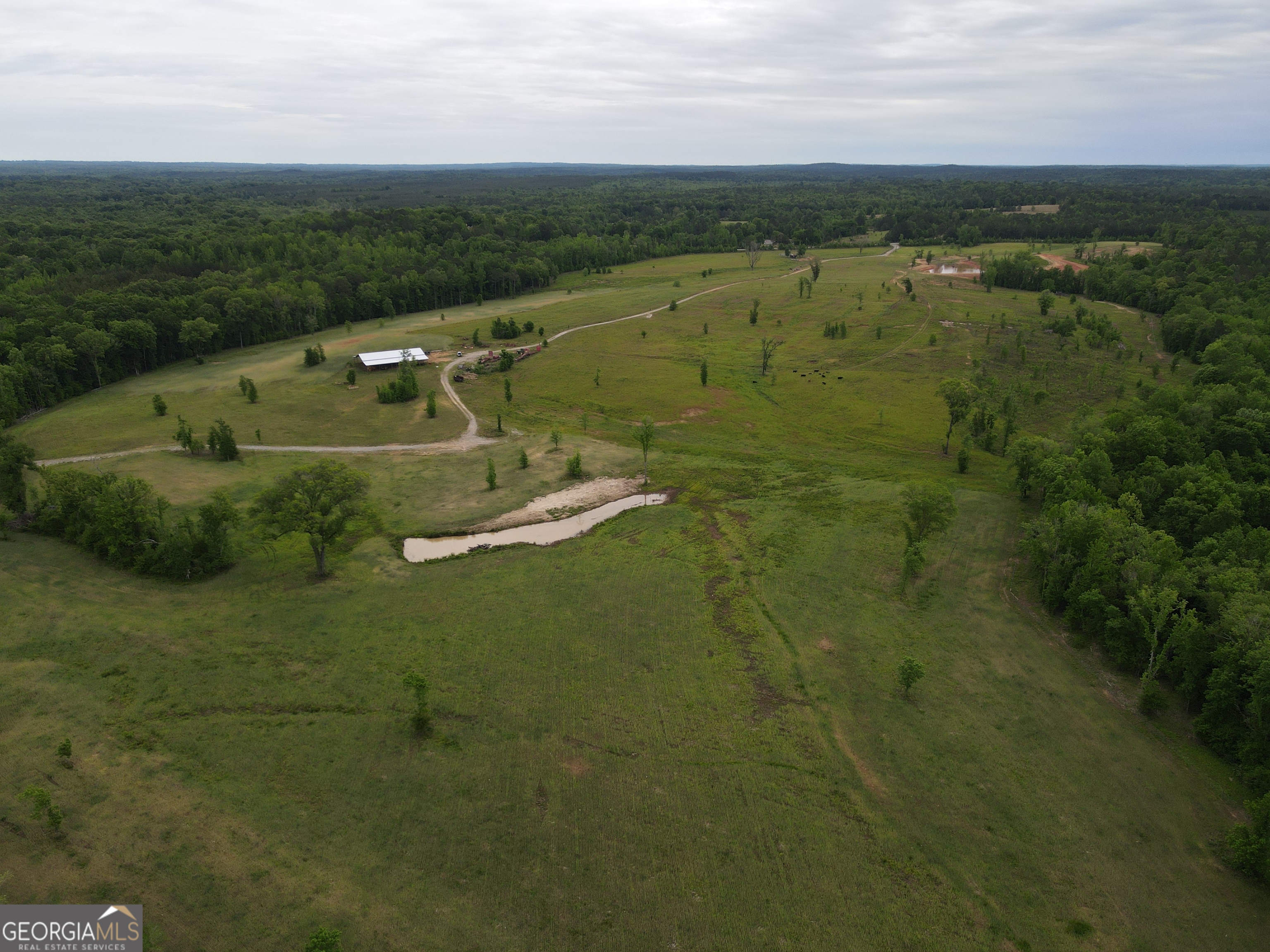 1120 Julia Jordan Road Roberta, GA 31078 - Photo 8 of 24