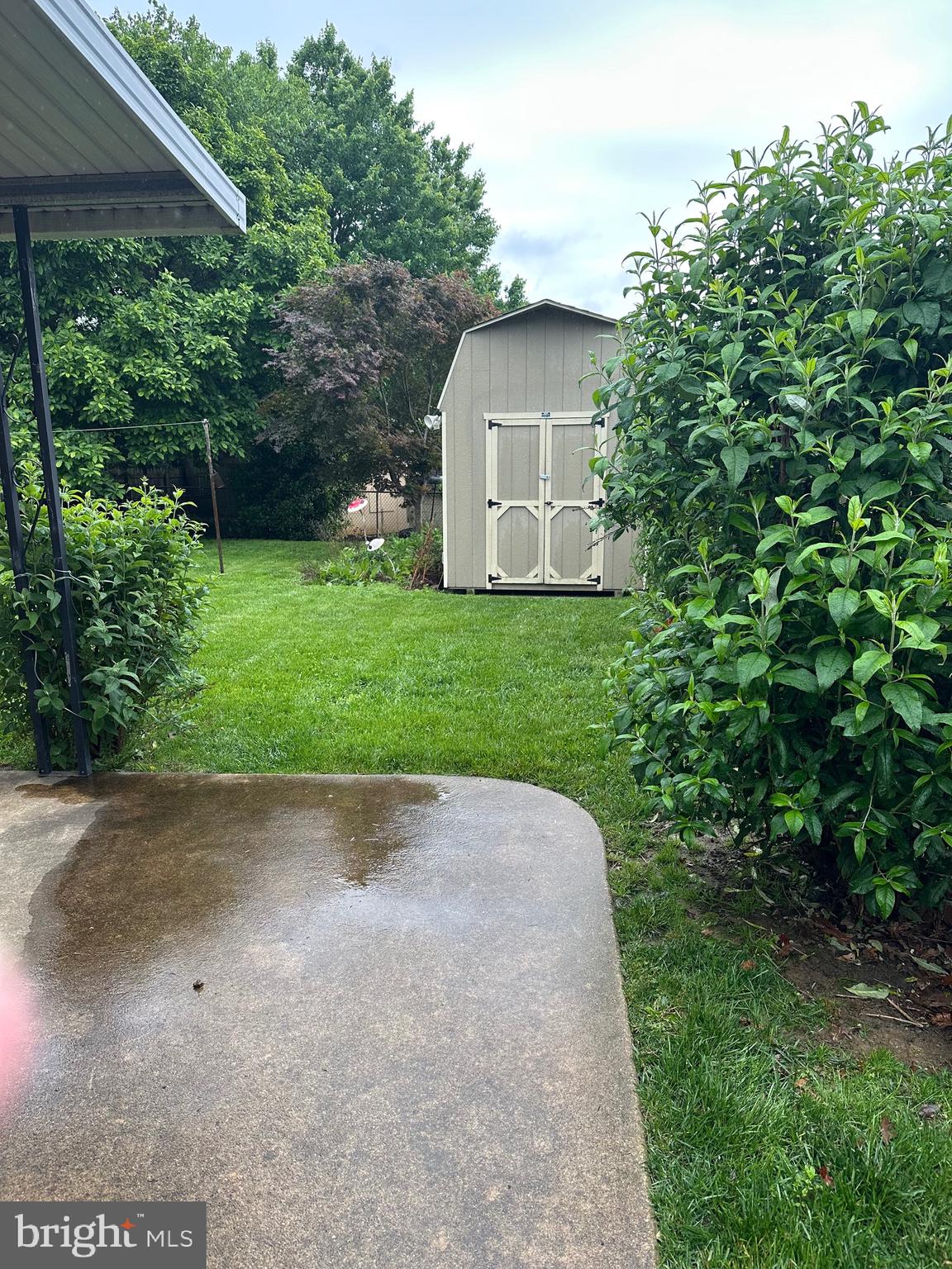206 Taylor Road Wilmington, DE 19804 - Photo 21 of 21 Rear yard w/ shed