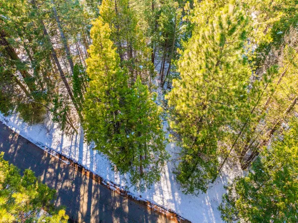 $25,000 | Ritts Mill Road, Shingletown, CA 96088