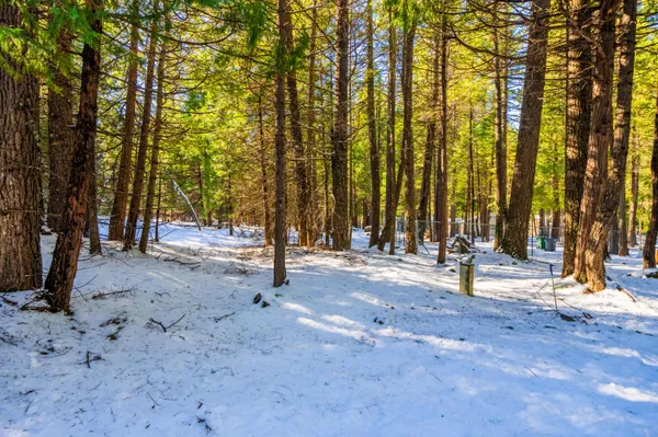 $25,000 | Ritts Mill Road, Shingletown, CA 96088