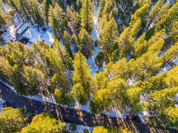 $25,000 | Ritts Mill Road, Shingletown, CA 96088